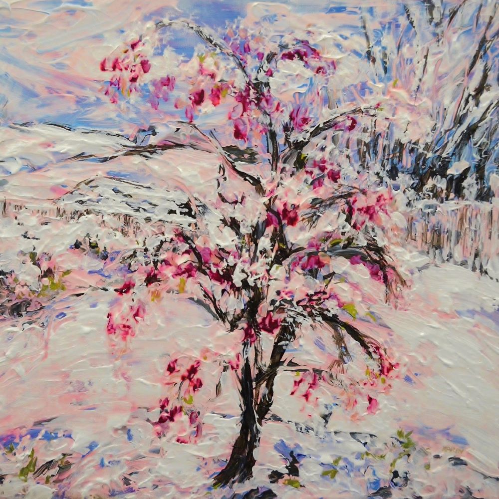 Cherry Blossom Spring Snow – Fine Art Canvas Print
